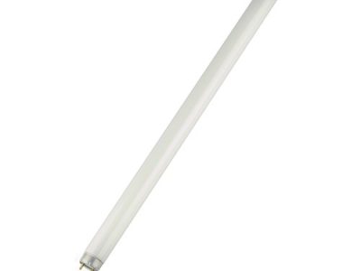 لمبة فلورسنت ابيض بارد