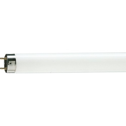 FLUORESCENT LAMP 18W COOL WHITE T8 60CM