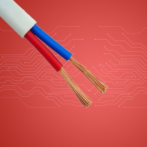 2 core Cable
