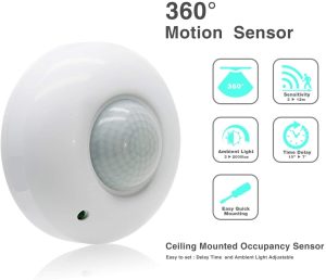 Motion sensor and ceiling light