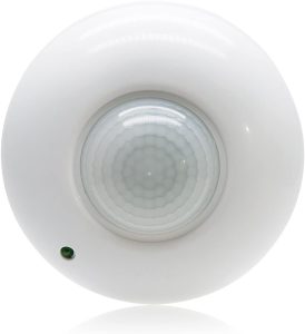 Motion sensor and ceiling light
