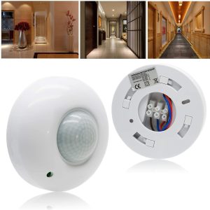 Motion sensor and ceiling light