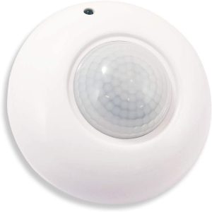 Motion sensor and ceiling light