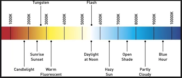 5 types of LED Floodlights