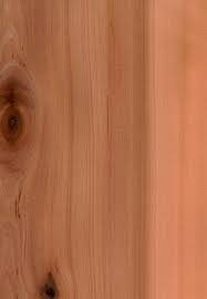 Your guide to installing a door correctly
