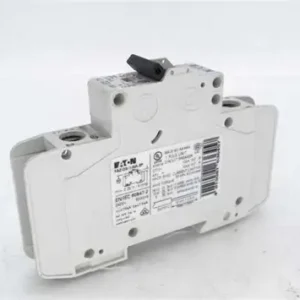 OIP (1)-58