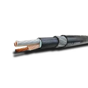 OIP-2