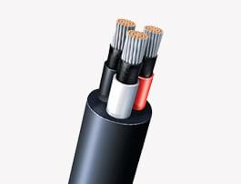 productImg-01-1